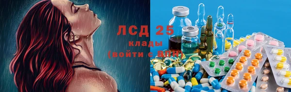 прущие грибы Алзамай