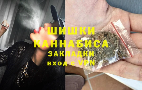 прущие грибы Алзамай