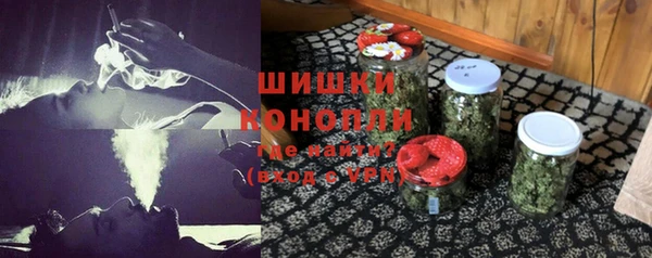 прущие грибы Алзамай